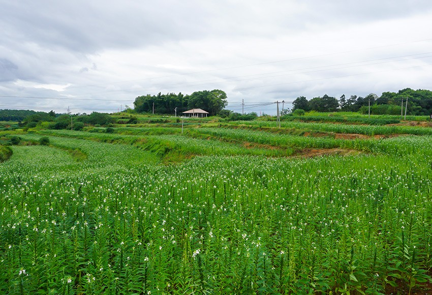 基地風(fēng)采