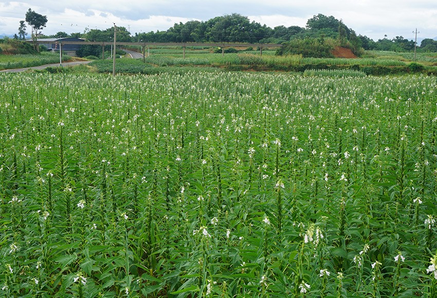 基地風(fēng)采